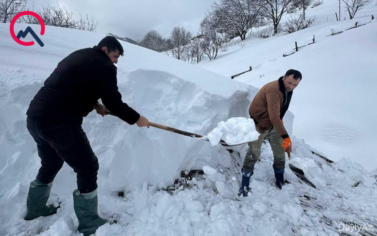 “Ölsək, heç kimin xəbəri olmayacaq” 
							 – Pəncəlinin qardaşı-Video