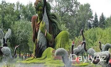 botanika bagi haqqinda melumat