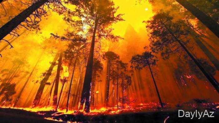 avstraliya meseleri haqqinda melumat