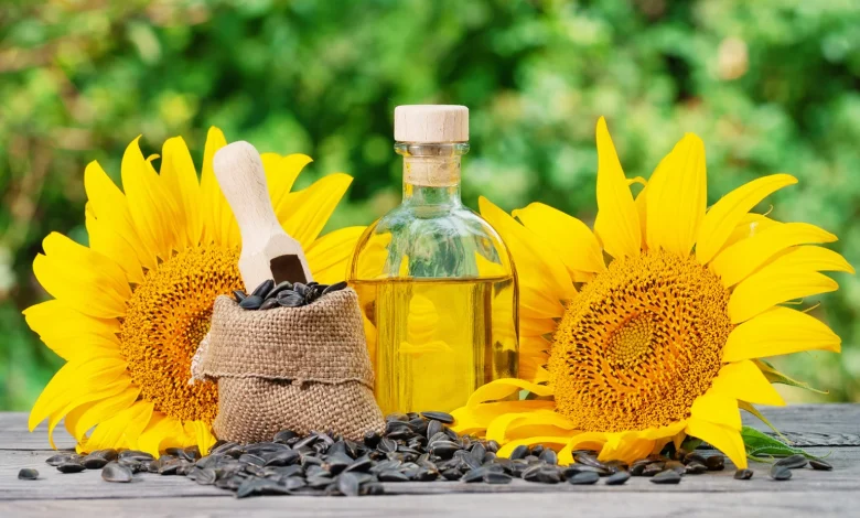 gunebaxan bitkisi haqqinda melumat