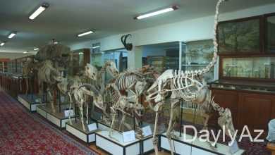 tarix muzeyi haqqinda melumat