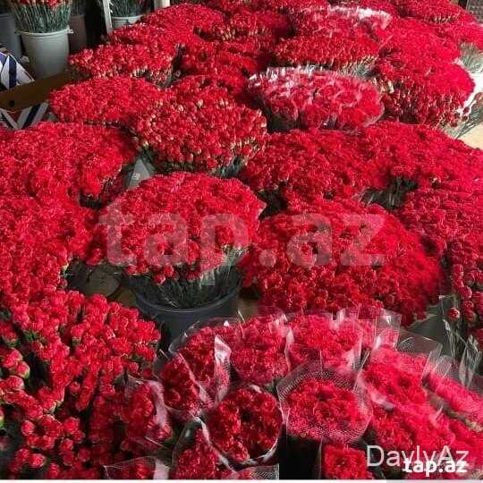 Qerenfil Haqqında Tam Məlumat | Qerenfilin Faydaları, Yetişdirilməsi və Simvolik Mənası