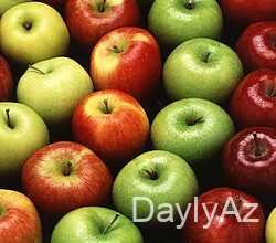 alma haqqinda melumat