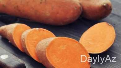 kartof haqqinda melumat