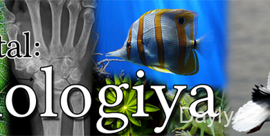 biologiya haqqinda melumat