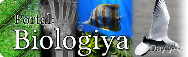 biologiya haqqinda melumat