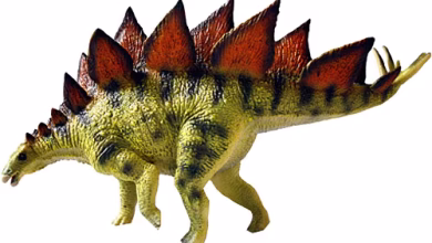 dinazor haqqinda melumat