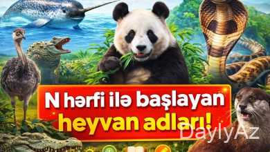 n hərfi ilə başlayan hayvan adları