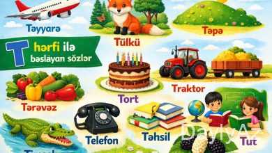 t hərfi ilə başlayan sözlər