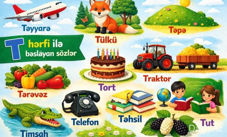 t hərfi ilə başlayan sözlər