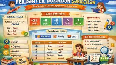 feildən feil düzəldən şəkilçilər