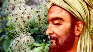 ibn sina haqqinda melumat