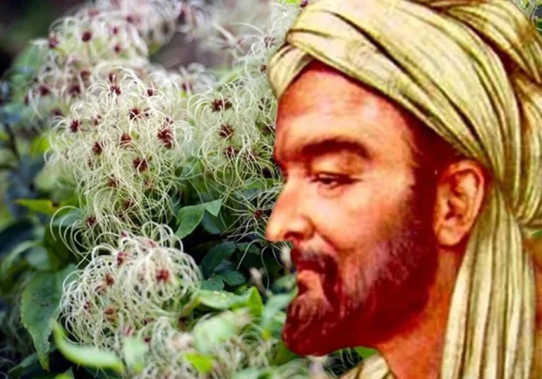 İbn Sina – Həyatı, Əsərləri və Tibb və Fəlsəfəyə Töhfəsi