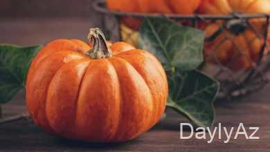 balqabaq haqqinda melumat