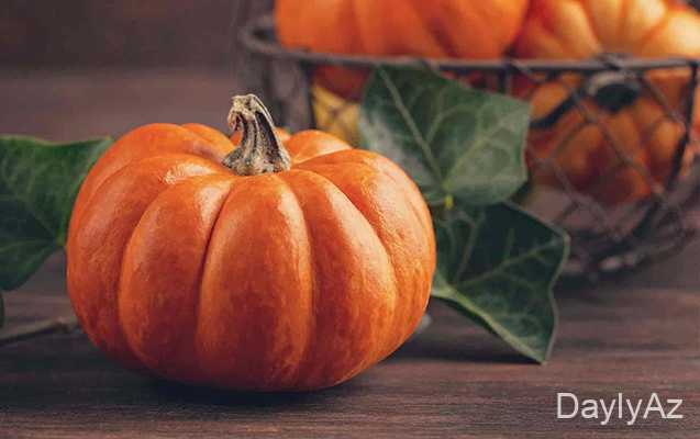 balqabaq haqqinda melumat