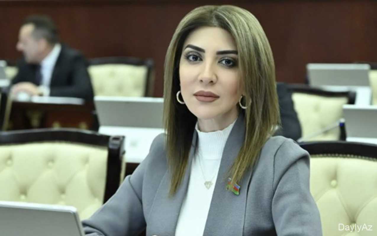 Günay Ağamalı Ana Vətən Partiyasının sədri seçildi