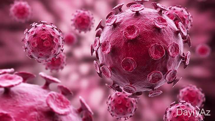 it xestelikleri haqqinda melumat