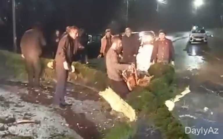 Küləyin aşırdığı ağac Lənkəran-Lerik yolunu bağladı 
							 – Video