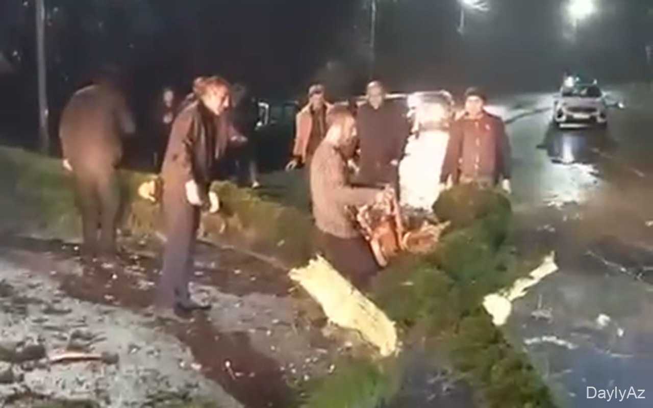 Küləyin aşırdığı ağac Lənkəran-Lerik yolunu bağladı 
							 – Video