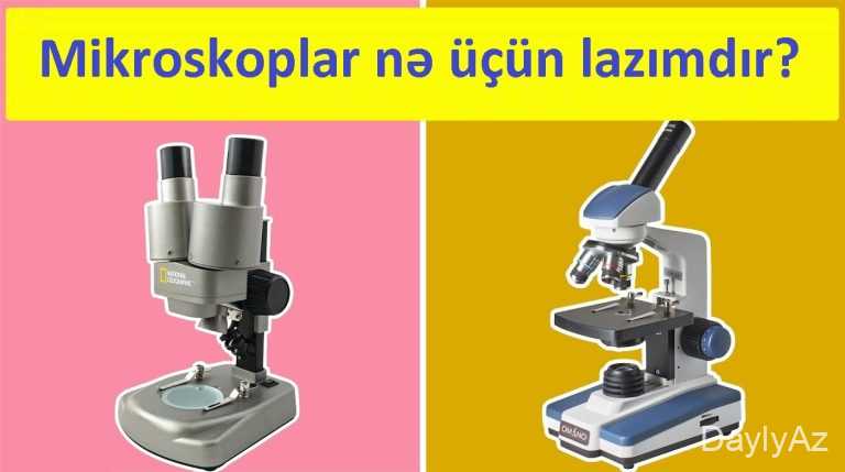Mikroskop Nədir? Tarixi, Növləri və İşləmə Prinsipi .