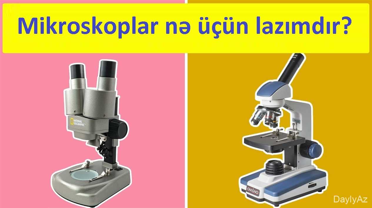 Mikroskop Nədir? Tarixi, Növləri və İşləmə Prinsipi .