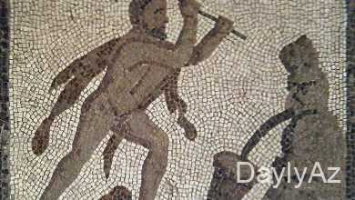 avgi tovlesi haqqinda melumat