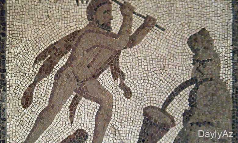 avgi tovlesi haqqinda melumat