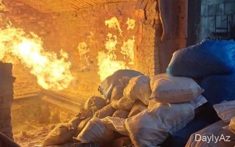 Məhv olunan narkotik vasitələrin qiyməti 52 milyon manatdan artıq olmuşdur