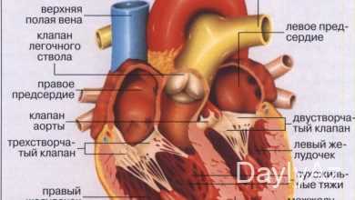 urek haqqinda melumat