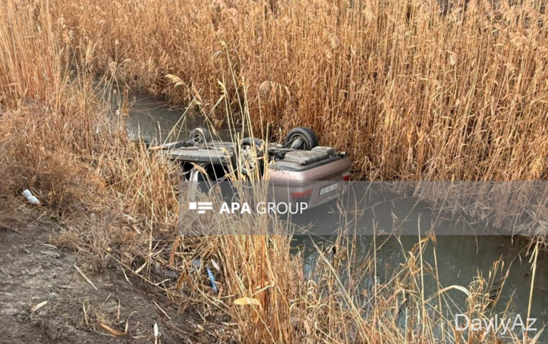 Avtomobil yol kənarına düşərək can verdisi alıb