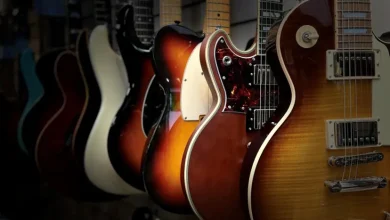 gitara haqqinda melumat