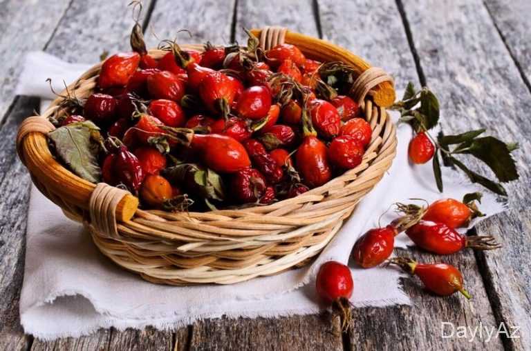 İtburnu – Faydaları, İstifadəsi və Sağlamlıq Üçün Təbiət Hədiyyəsi