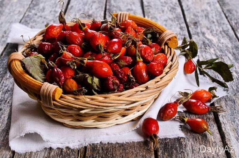 İtburnu – Faydaları, İstifadəsi və Sağlamlıq Üçün Təbiət Hədiyyəsi