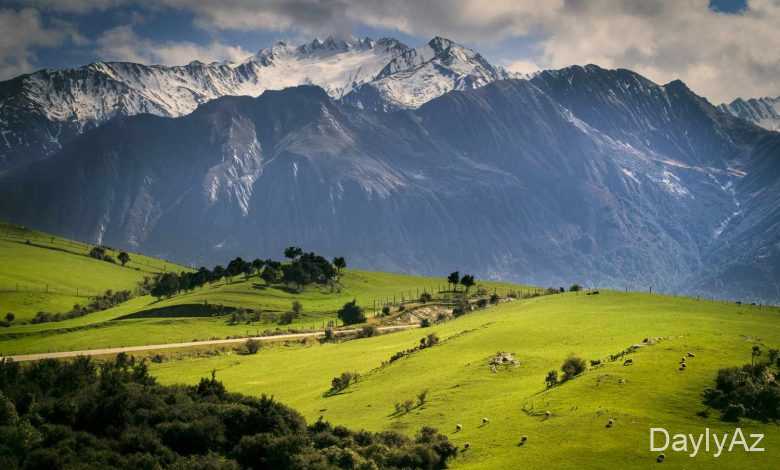 yeni zelandiya haqqinda melumat