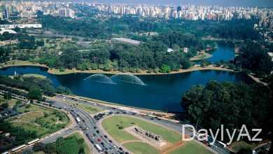 cənubi amerika cəngəllikləri haqqinda melumat