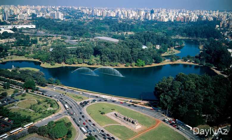 cənubi amerika cəngəllikləri haqqinda melumat