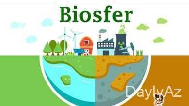 biosfer haqqinda melumat