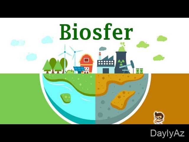 Biosfer Nədir? Həyatın Qoruyucusu və Ekosistemlərin Əhəmiyyəti