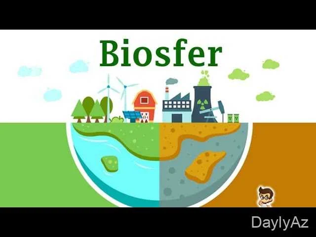 Biosfer Nədir? Həyatın Qoruyucusu və Ekosistemlərin Əhəmiyyəti