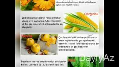 faydali bitkiler haqqinda melumat