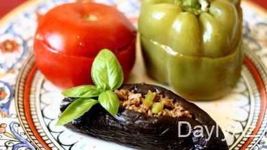 dolma haqqinda melumat