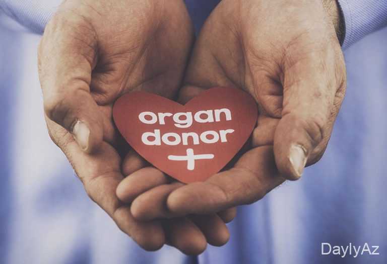 Donor Olmaq: Qan, Orqan və Kök Hüceyrə Donorluğu