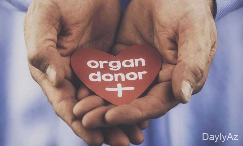 donor olmaq haqqinda melumat