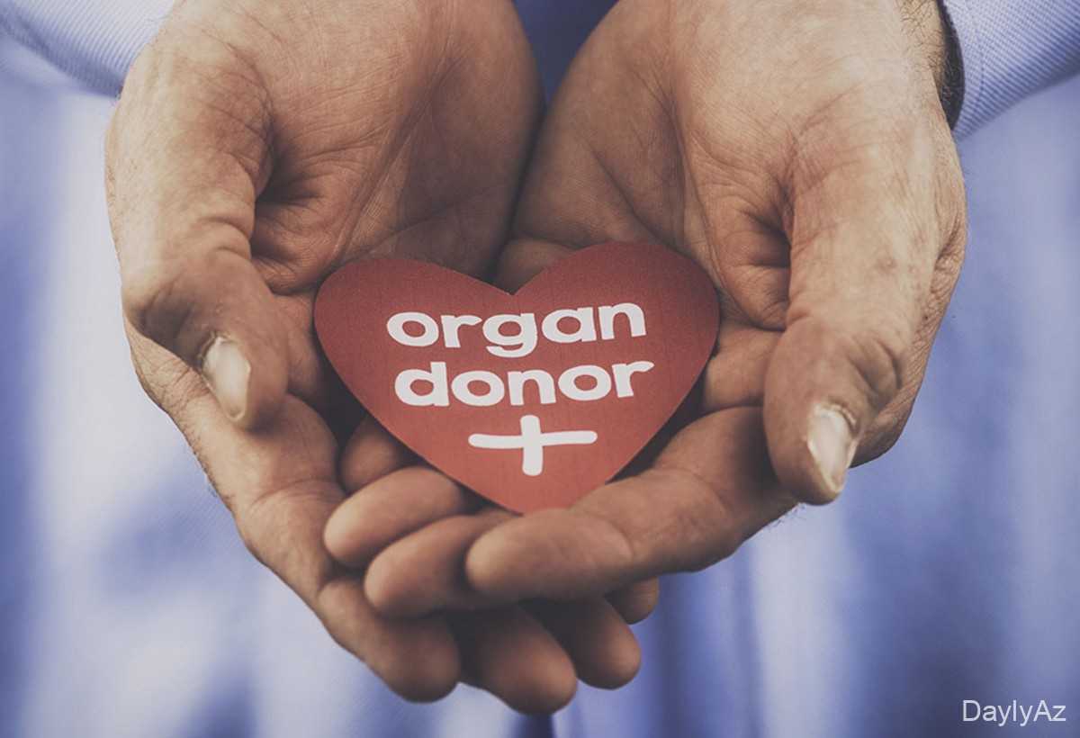 Donor Olmaq: Qan, Orqan və Kök Hüceyrə Donorluğu