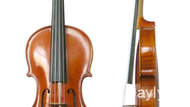 skripka haqqinda melumat