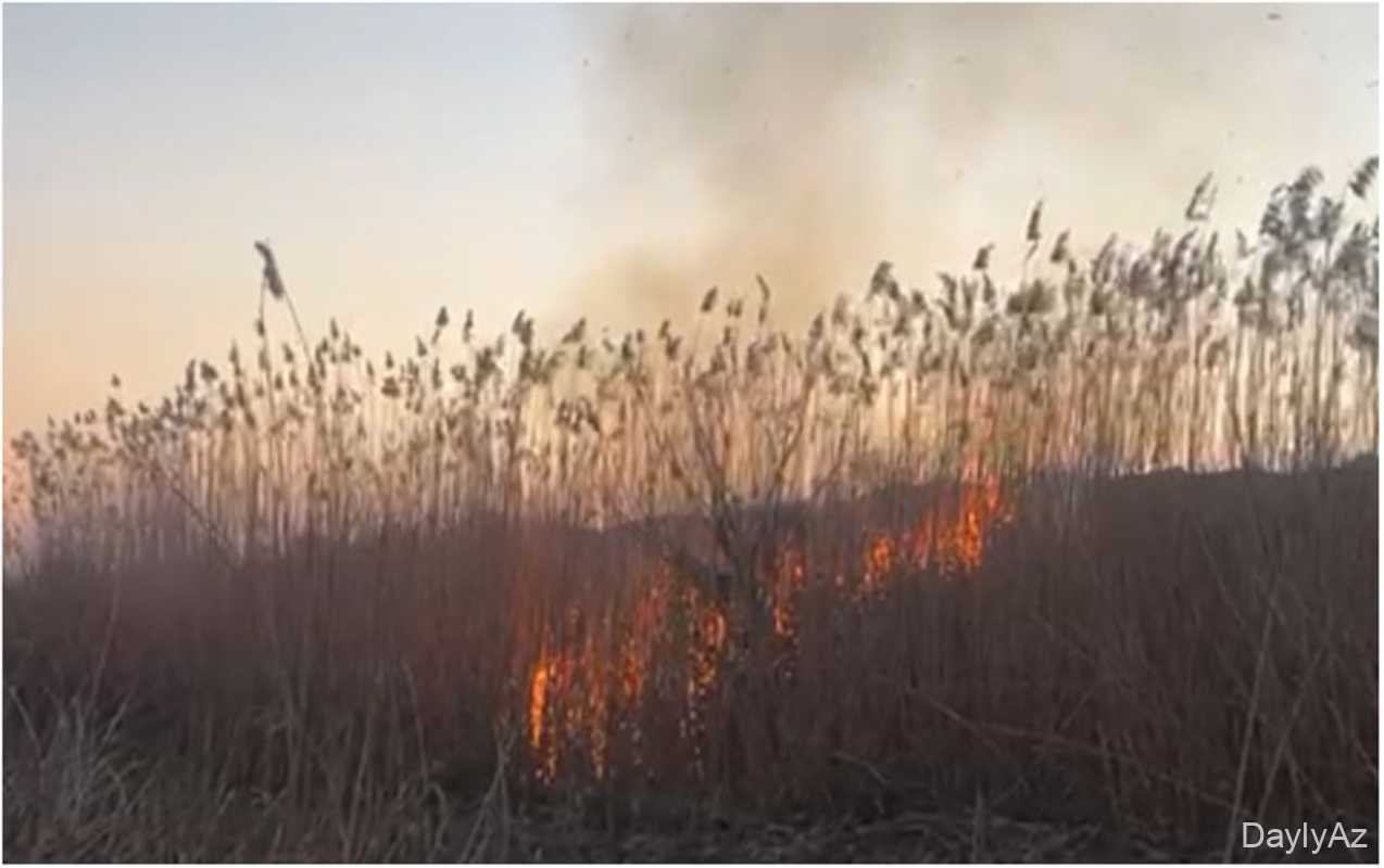 Cecabrayılda yanğın törədən şəxs tutuldu