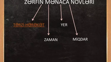 zerf haqqinda melumat