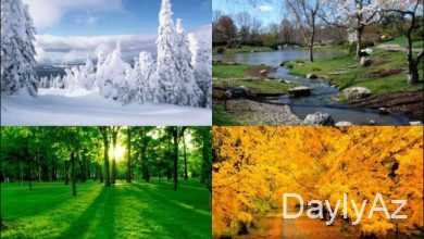 fesiller haqqinda melumat