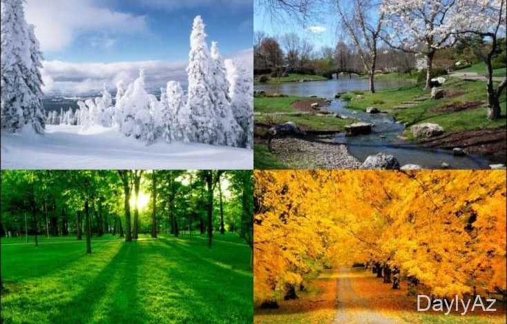 fesiller haqqinda melumat