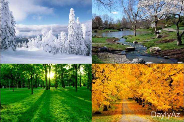 Fəsillər haqqında məlumat: Yaz, Yay, Payız və Qışın xüsusiyyətləri
